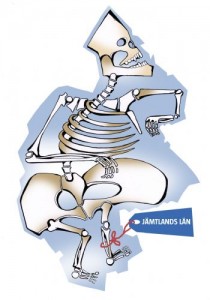 Region skelett          